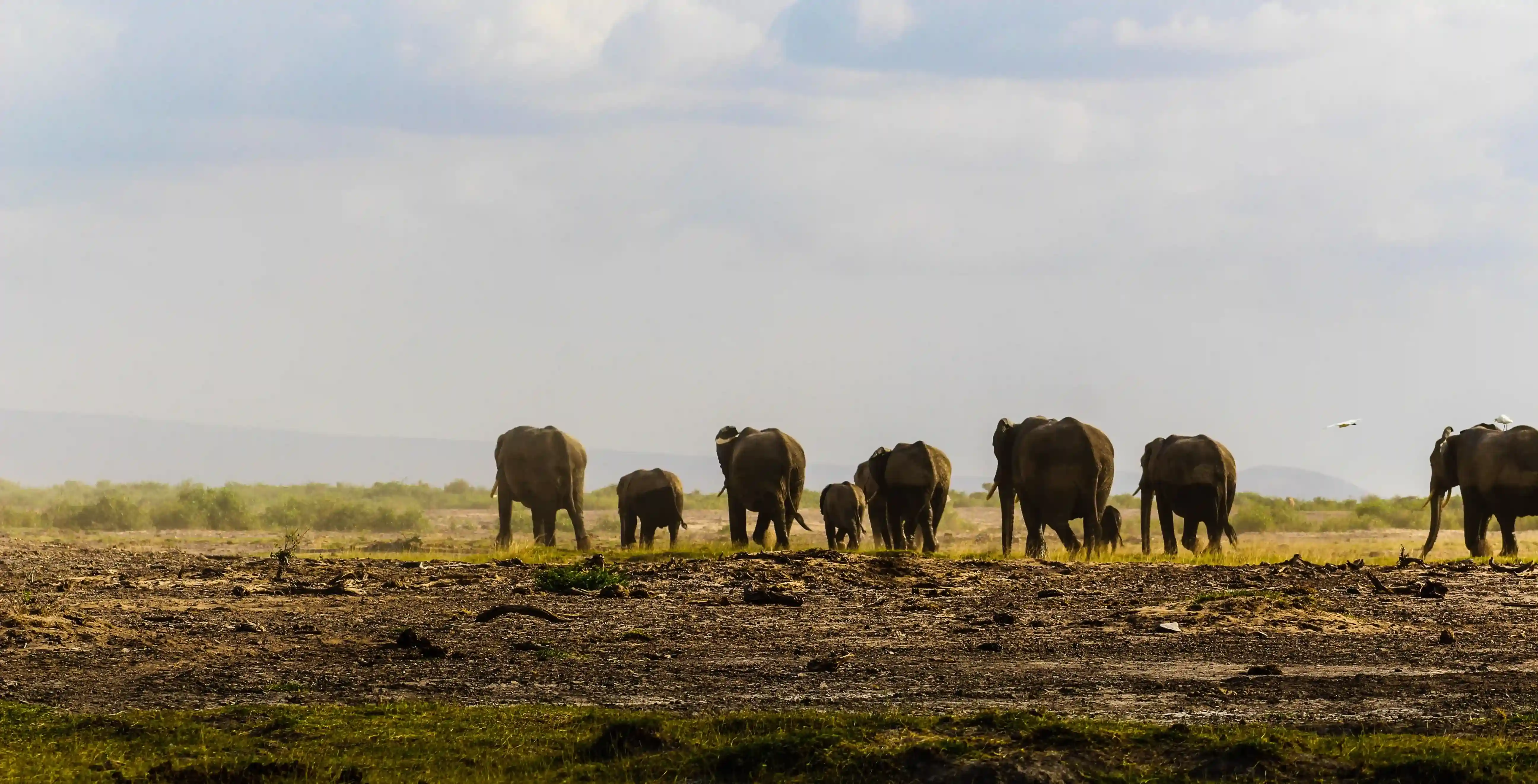 Day Trips & Excursions from Arusha and Moshi